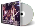 Artwork Cover of Whitesnake Compilation CD Lay Down On The Knee 2008 Audience