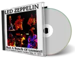 Artwork Cover of Led Zeppelin 1977-06-13 CD New York Audience
