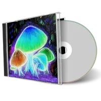 Artwork Cover of Allman Brothers Band 1996-03-01 CD New York City Audience
