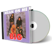 Artwork Cover of Mr Big Compilation CD Around The World 1991-1993 Audience