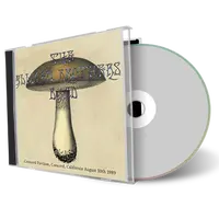 Artwork Cover of Allman Brothers Band Compilation CD Concord Pavilion 1989 Audience