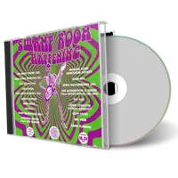 Artwork Cover of Bevis Frond 2000-05-13 CD Hannover Audience