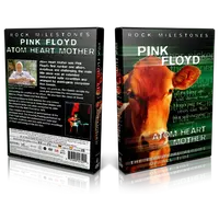 Artwork Cover of Pink Floyd Compilation DVD Rock Milestones Proshot