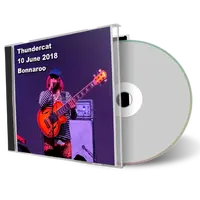 Artwork Cover of Thundercat 2018-06-10 CD Bonnaroo Audience