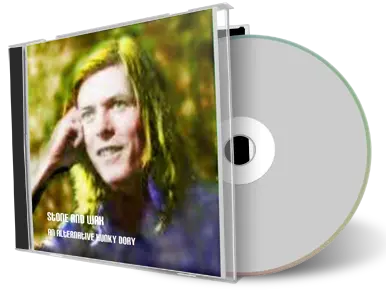 Artwork Cover of David Bowie Compilation CD Stone And Wax An Alternative Hunky Dory Soundboard