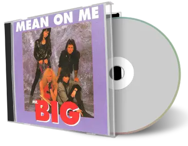 Artwork Cover of Mr Big Compilation CD Around The World 1991-1993 Audience