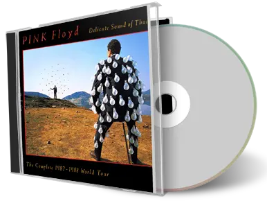 Front cover artwork of Pink Floyd Compilation CD Delicate Sound Of Thunder 1987 1988 Soundboard