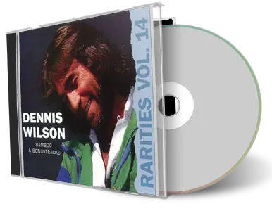 Front cover artwork of Beach Boys Compilation CD Dumb Angel Rarities Vol 14 Soundboard