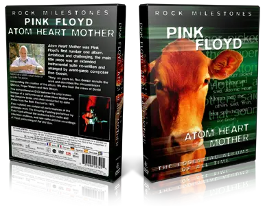 Artwork Cover of Pink Floyd Compilation DVD Rock Milestones Proshot