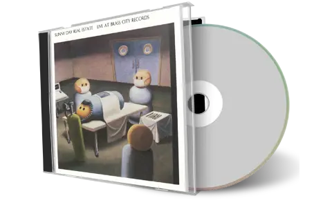 Artwork Cover of Sunny Day Real Estate 1994-05-14 CD Waterbury Audience