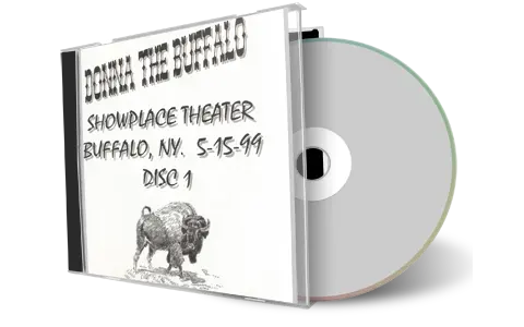 Artwork Cover of Donna The Buffalo 1999-05-15 CD Buffalo Soundboard