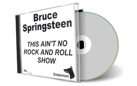 Artwork Cover of Bruce Springsteen 1995-11-21 CD New Brunswick Audience