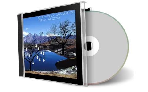 Artwork Cover of Pink Floyd 1987-11-28 CD Amsterdam Audience
