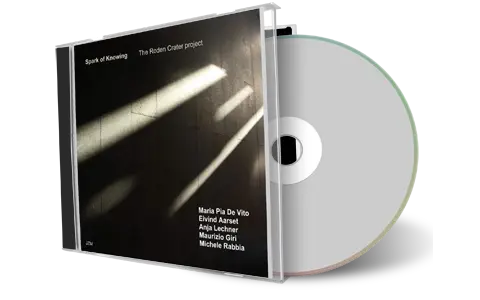 Artwork Cover of Roden Crater Project 2011-11-23 CD Lugano Soundboard