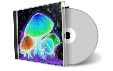Artwork Cover of Allman Brothers Band 1996-03-01 CD New York City Audience