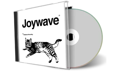 Artwork Cover of Joywave 2021-09-03 CD Bottlerock Festival Audience