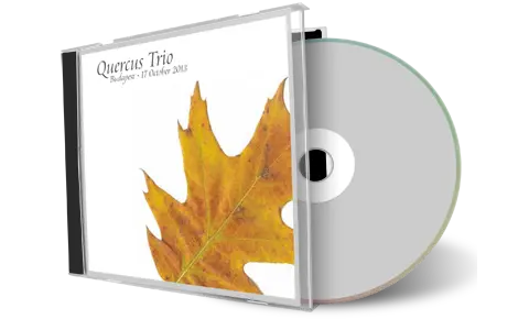 Artwork Cover of Quercus 2013-10-17 CD Budapest Audience