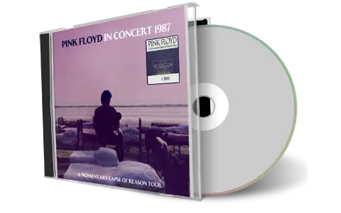 Artwork Cover of Pink Floyd Compilation CD In Concert 1987 Audience