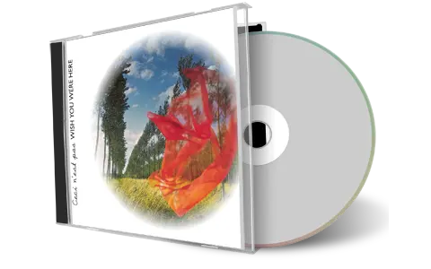 Artwork Cover of Pink Floyd Compilation CD Ceci Nest Pas Wish You Were Here 1975 Soundboard
