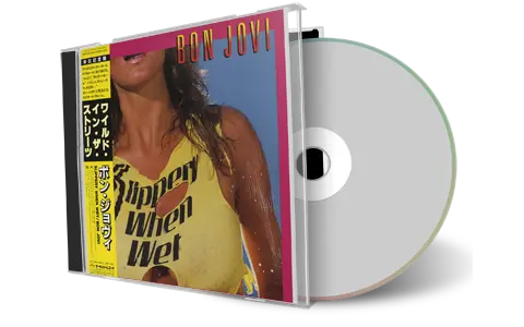 Artwork Cover of Bon Jovi Compilation CD Slippery When Wet Outtakes Soundboard