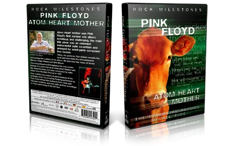 Artwork Cover of Pink Floyd Compilation DVD Rock Milestones Proshot