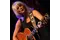 Emmylou Harris