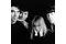 Talking Heads