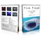 Artwork Cover of Pink Floyd 1994-08-06 DVD Basel Audience